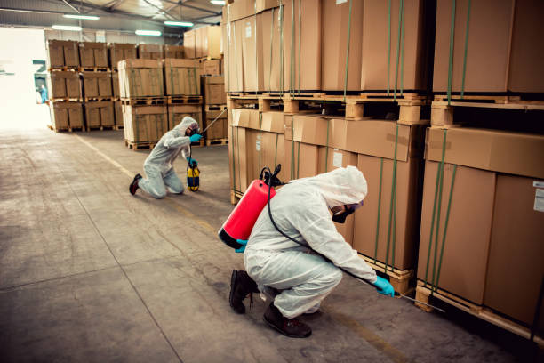 Best Local Pest Control Services  in Essex, MD