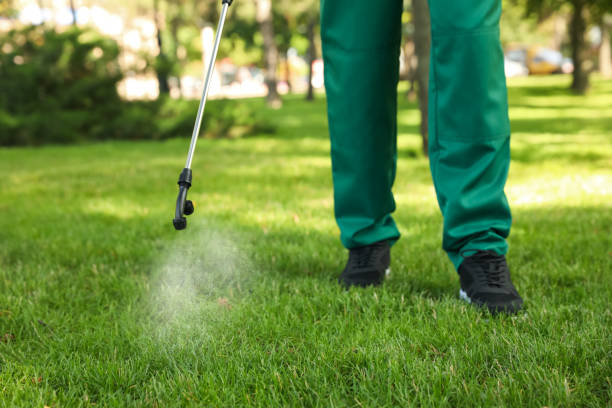 Professional Pest Control in Essex, MD