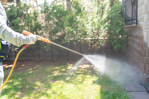 Best Termite Control Services  in Essex, MD