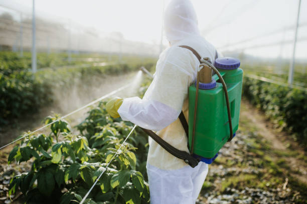 Best Best Pest Control Companies  in Essex, MD
